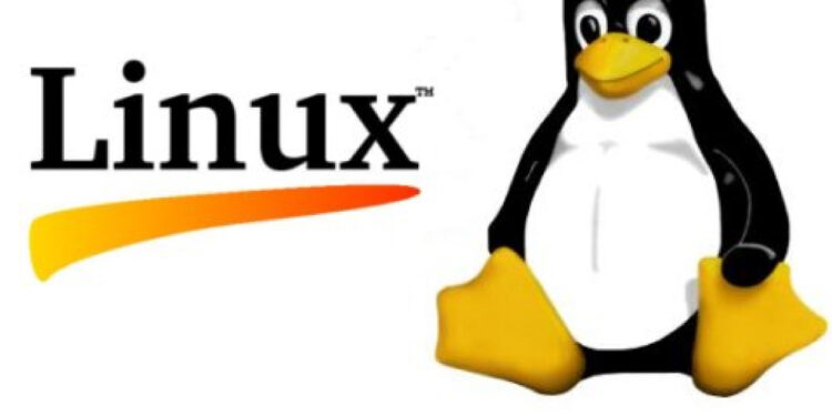 نظام لينكس Linux