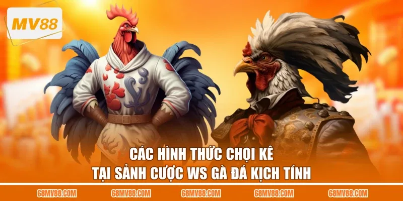 Các hình thức chọi kê tại sảnh cược WS gà đá kịch tính
