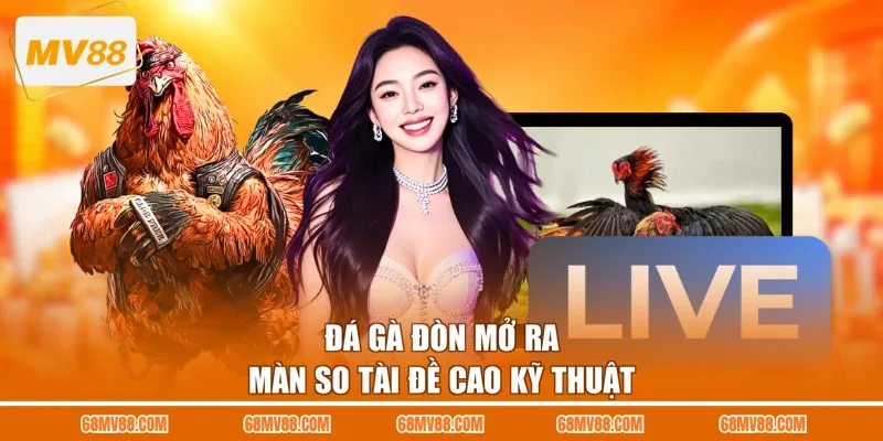 Đá gà đòn mở ra màn so tài đề cao kỹ thuật