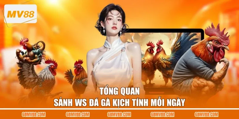 Tổng quan sảnh WS đá gà kịch tính mỗi ngày